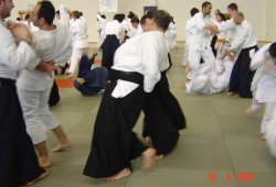 Sabancı Üniversitesi Seminer 2006