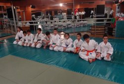 USTALARA SAYGI SEMİNERİ 6.DAN ALİ ULUDAĞ SHIHAN 12/2013