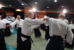 USTALARA SAYGI SEMİNERİ 6.DAN ALİ ULUDAĞ SHIHAN 12/2013