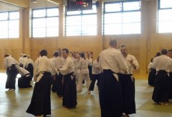 AVUSTURYA, Viyana 8.Dan Yoshimitsu YAMADA Shihan 11/2013