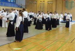 AVUSTURYA, Viyana 8.Dan Yoshimitsu YAMADA Shihan 11/2013