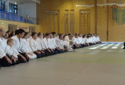 AVUSTURYA, Viyana 8.Dan Yoshimitsu YAMADA Shihan 11/2013