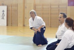 AVUSTURYA, Viyana 8.Dan Yoshimitsu YAMADA Shihan 11/2013