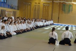 AVUSTURYA, Viyana 8.Dan Yoshimitsu YAMADA Shihan 11/2013