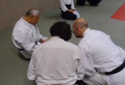 AVUSTURYA, Viyana 8.Dan Yoshimitsu YAMADA Shihan 11/2013