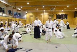 AVUSTURYA, Viyana 8.Dan Yoshimitsu YAMADA Shihan 11/2013