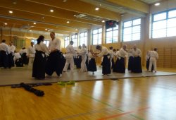 AVUSTURYA, Viyana 8.Dan Yoshimitsu YAMADA Shihan 11/2013