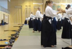 AVUSTURYA, Viyana 8.Dan Yoshimitsu YAMADA Shihan 11/2013