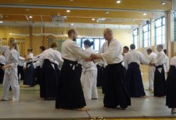 AVUSTURYA, Viyana 8.Dan Yoshimitsu YAMADA Shihan 11/2013