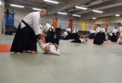 AVUSTURYA, Viyana 8.Dan Yoshimitsu YAMADA Shihan 11/2013