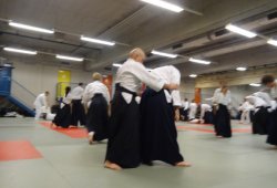 AVUSTURYA, Viyana 8.Dan Yoshimitsu YAMADA Shihan 11/2013