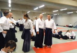 AVUSTURYA, Viyana 8.Dan Yoshimitsu YAMADA Shihan 11/2013