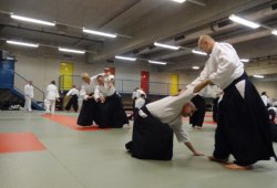 AVUSTURYA, Viyana 8.Dan Yoshimitsu YAMADA Shihan 11/2013