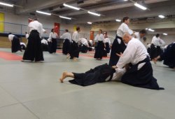 AVUSTURYA, Viyana 8.Dan Yoshimitsu YAMADA Shihan 11/2013