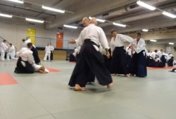 AVUSTURYA, Viyana 8.Dan Yoshimitsu YAMADA Shihan 11/2013