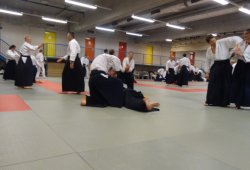 AVUSTURYA, Viyana 8.Dan Yoshimitsu YAMADA Shihan 11/2013