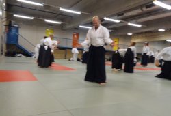 AVUSTURYA, Viyana 8.Dan Yoshimitsu YAMADA Shihan 11/2013