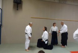 AVUSTURYA, Viyana 8.Dan Yoshimitsu YAMADA Shihan 11/2013