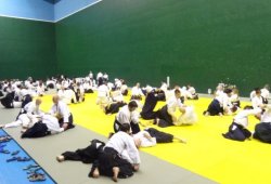 BARSELONA, 8.DAN Yoshimitsu Yamada Shihan 03/2014