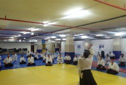 TWF TUNCER KARATAŞ SENSEİ SEMİNERİ 04/2014