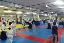 TWF TUNCER KARATAŞ SENSEİ SEMİNERİ 04/2014