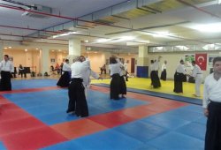 TWF TUNCER KARATAŞ SENSEİ SEMİNERİ 04/2014