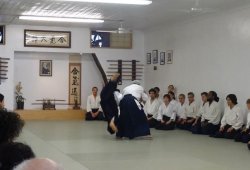 NEWYORK , 50 YEARS OF AIKIDO IN NEW YORK SEMINAR