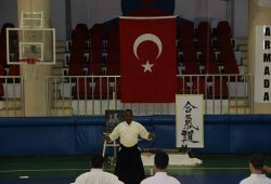 UAAP 7.DAN DONOVAN WAITE İstanbul Semineri 06/2014