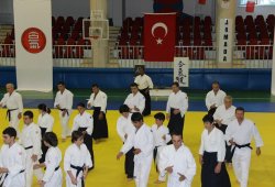 UAAP 7.DAN DONOVAN WAITE İstanbul Semineri 06/2014