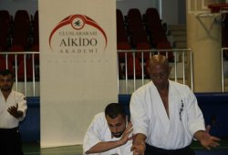 UAAP 7.DAN DONOVAN WAITE İstanbul Semineri 06/2014