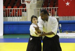 UAAP 7.DAN DONOVAN WAITE İstanbul Semineri 06/2014