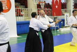 UAAP 7.DAN DONOVAN WAITE İstanbul Semineri 06/2014