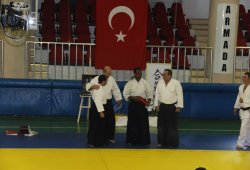 UAAP 7.DAN DONOVAN WAITE İstanbul Semineri 06/2014