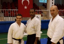 UAAP 7.DAN DONOVAN WAITE İstanbul Semineri 06/2014