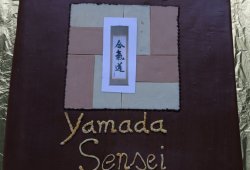 ALMANYA 8.DAN Yoshimitsu Yamada Shihan Semineri 08/2014