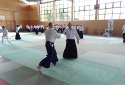 ALMANYA 8.DAN Yoshimitsu Yamada Shihan Semineri 08/2014