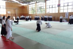 ALMANYA 8.DAN Yoshimitsu Yamada Shihan Semineri 08/2014