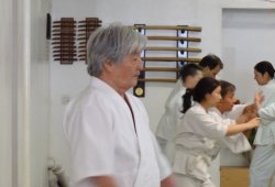 NEW YORK, 50 YEARS OF AIKIDO IN NEW YORK SEMINAR