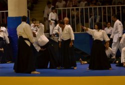 İSTANBUL 8.DAN YOSHIMITSU YAMADA SHIHAN SEMİNERİ 19-20/09/2015