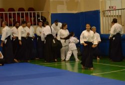 İSTANBUL 8.DAN YOSHIMITSU YAMADA SHIHAN SEMİNERİ 19-20/09/2015