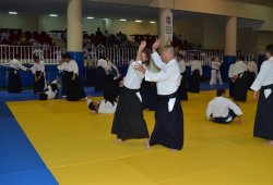 İSTANBUL 8.DAN YOSHIMITSU YAMADA SHIHAN SEMİNERİ 19-20/09/2015