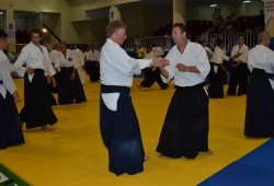 İSTANBUL 8.DAN YOSHIMITSU YAMADA SHIHAN SEMİNERİ 19-20/09/2015