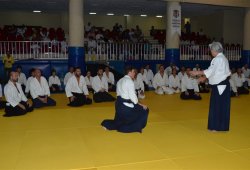 İSTANBUL 8.DAN YOSHIMITSU YAMADA SHIHAN SEMİNERİ 19-20/09/2015