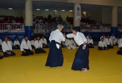 İSTANBUL 8.DAN YOSHIMITSU YAMADA SHIHAN SEMİNERİ 19-20/09/2015