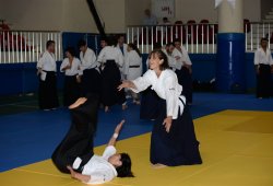 İSTANBUL 8.DAN YOSHIMITSU YAMADA SHIHAN SEMİNERİ 19-20/09/2015