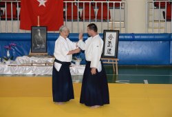 İSTANBUL 8.DAN YOSHIMITSU YAMADA SHIHAN SEMİNERİ 19-20/09/2015