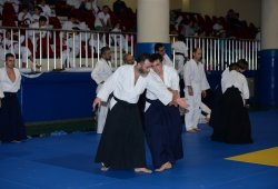 İSTANBUL 8.DAN YOSHIMITSU YAMADA SHIHAN SEMİNERİ 19-20/09/2015