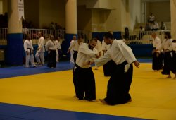 İSTANBUL 8.DAN YOSHIMITSU YAMADA SHIHAN SEMİNERİ 19-20/09/2015