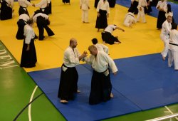 İSTANBUL 8.DAN YOSHIMITSU YAMADA SHIHAN SEMİNERİ 19-20/09/2015