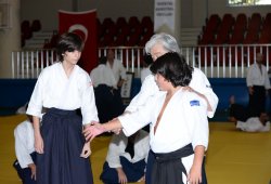 İSTANBUL 8.DAN YOSHIMITSU YAMADA SHIHAN SEMİNERİ 19-20/09/2015